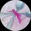 ゆんのプロフィール画像
