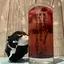 Annのプロフィール画像