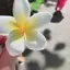 Nnm*のプロフィール画像