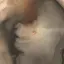 温菜のプロフィール画像