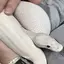 まめまきのプロフィール画像
