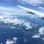 Ayuのプロフィール画像