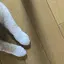 しょーぴーのプロフィール画像