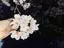 。のプロフィール画像