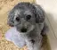 えみちゃんのプロフィール画像