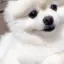 羽木のプロフィール画像