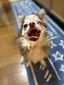 まさみのプロフィール画像