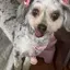 加奈のプロフィール画像