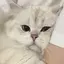 ⚪︎15のプロフィール画像