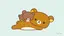 なきゅのプロフィール画像