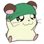 かぶるのプロフィール画像