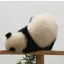 みやびのプロフィール画像