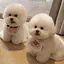 Uのプロフィール画像