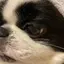 りつクロのプロフィール画像