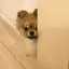 manaのプロフィール画像