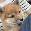 aaaaのプロフィール画像