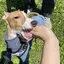 mizyuのプロフィール画像