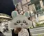 ゆねのプロフィール画像