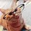 マフィンのプロフィール画像