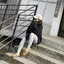 MIHOのプロフィール画像