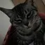 みさたのプロフィール画像