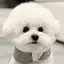 Karinのプロフィール画像