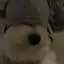 かっかぁのプロフィール画像