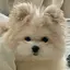 あんりのプロフィール画像