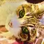MIRUKUのプロフィール画像