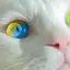 もものプロフィール画像