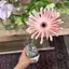 ayのプロフィール画像