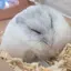 ゆきのプロフィール画像