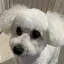 あかねのプロフィール画像