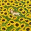 くりこのプロフィール画像