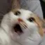 ねむいよのプロフィール画像