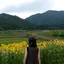 菜留のプロフィール画像