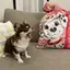 Mのプロフィール画像