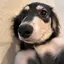 あーちゃのプロフィール画像
