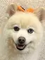なっちャんのプロフィール画像