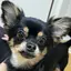 しおりのプロフィール画像