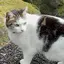 パリスのプロフィール画像