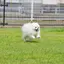 miのプロフィール画像