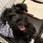 tokiのプロフィール画像