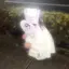 ナナのプロフィール画像