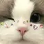 mmのプロフィール画像
