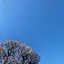 naのプロフィール画像