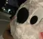ひよこのプロフィール画像