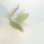ひよりのプロフィール画像