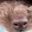 kotaのプロフィール画像