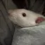 未来のプロフィール画像